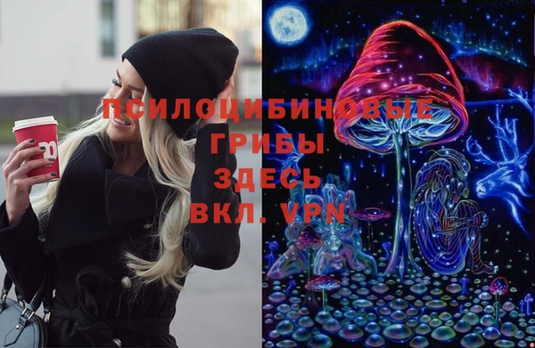 мдма Краснослободск