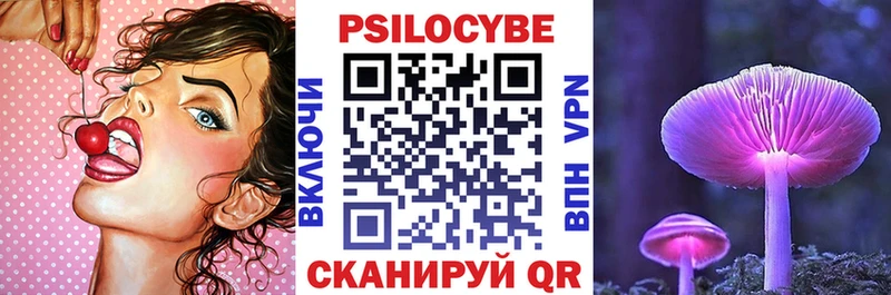 Купить где  Кологрив  Галлюциногенные грибы Magic Shrooms 